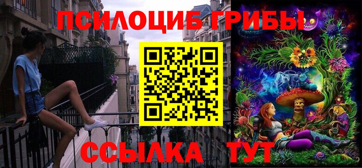 Псилоцибиновые грибы мицелий  Псилоцибиновые грибы GOLDEN TEACHER  Вход с VPN  Пушкино 