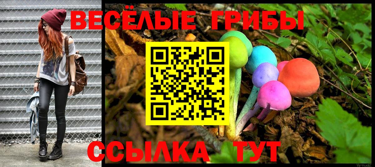 Псилоцибиновые грибы мицелий Пушкино